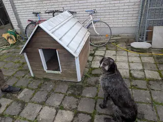 Hundehus uden hund 1 kr 