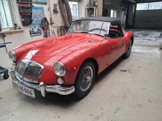 MGA