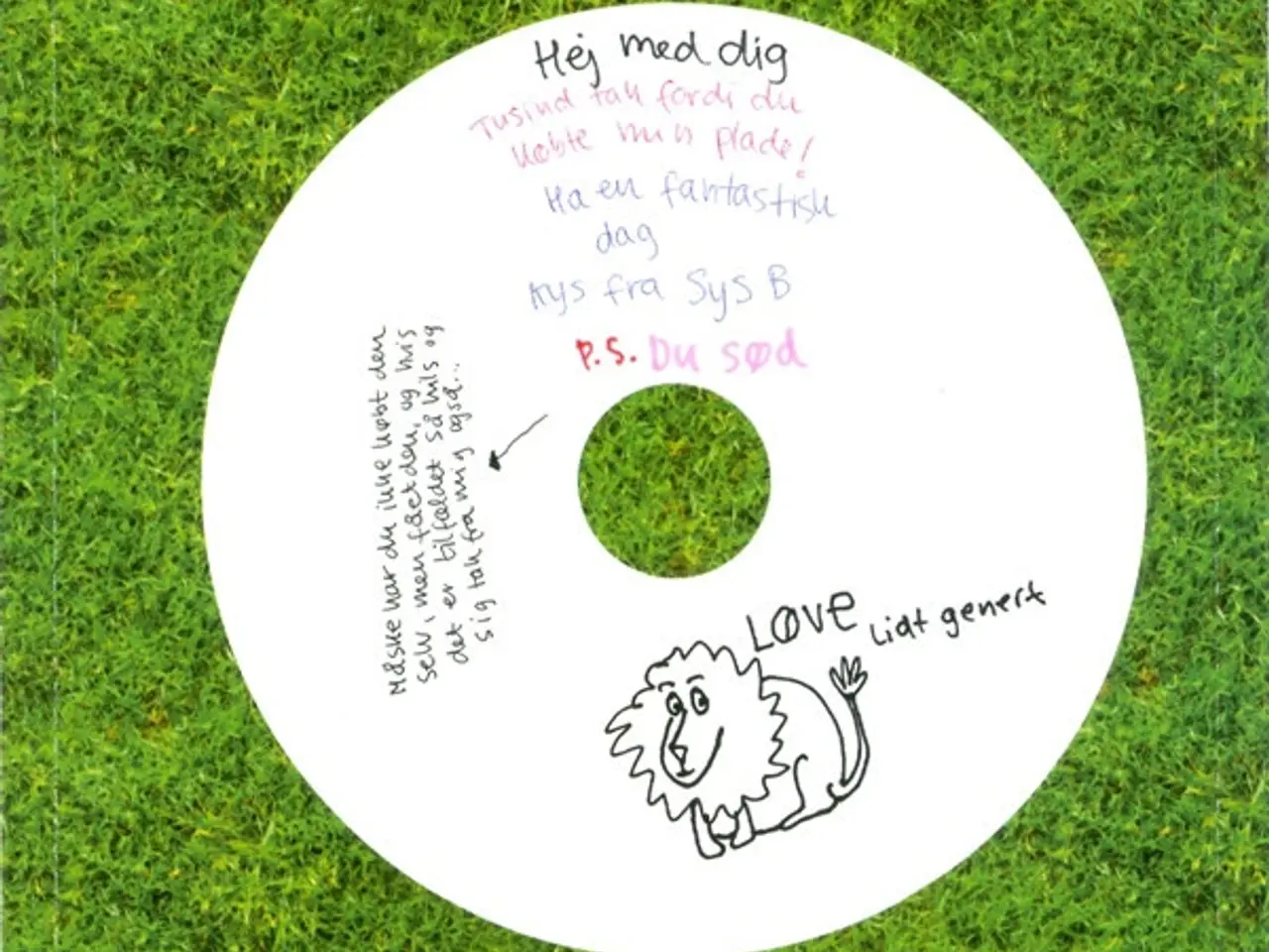 Billede 5 - Sys Bjerre – Gør Det Selv – CD
