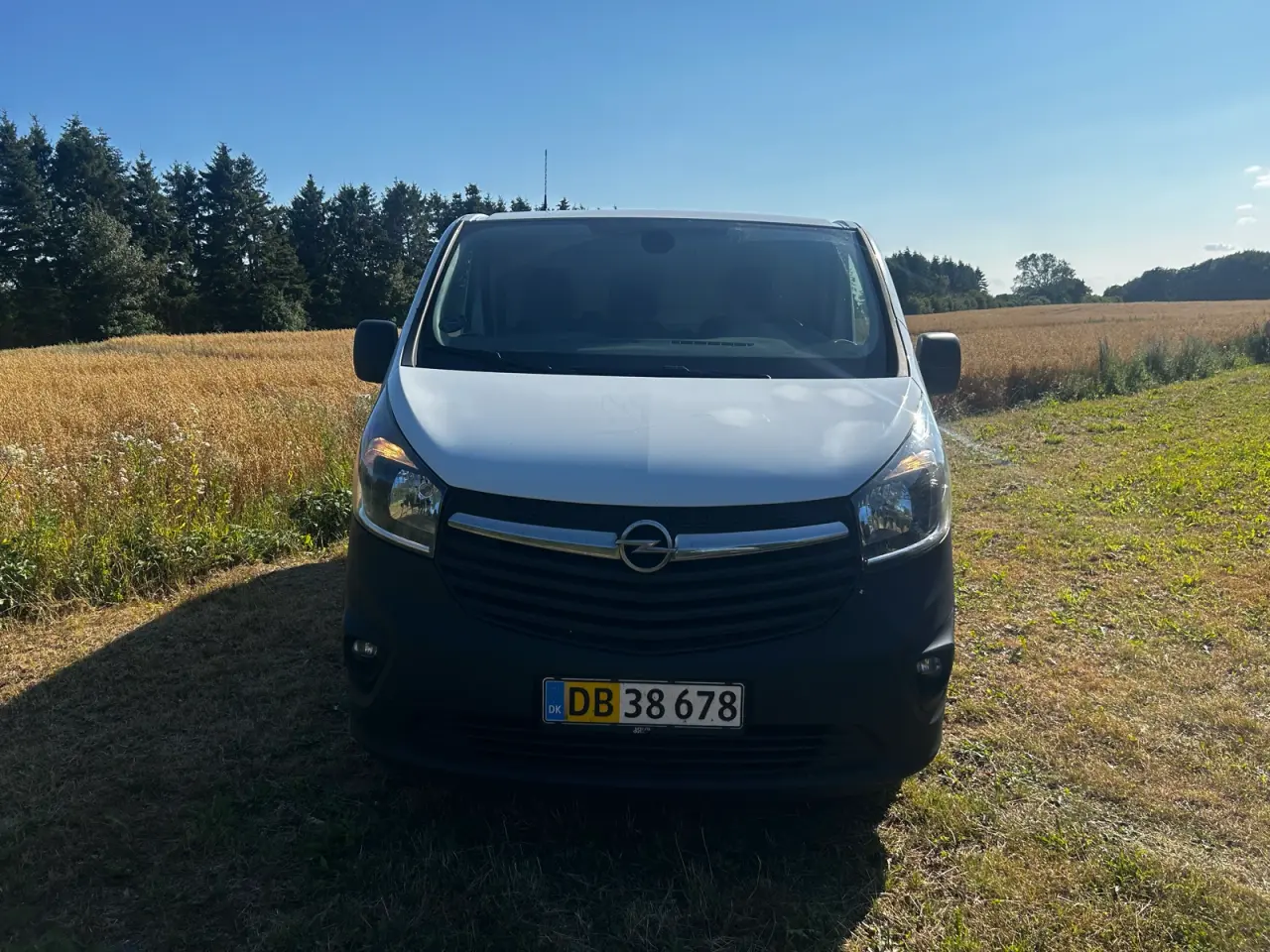 Billede 2 - Privat kørsel opel vivaro