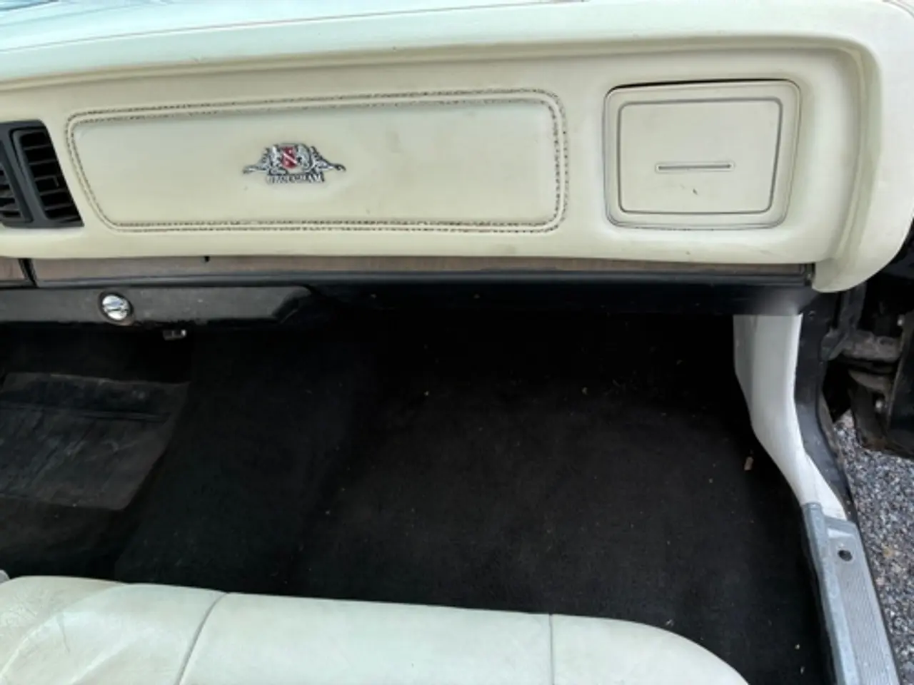 Billede 14 - Chrysler Newyorker 7,2 l.