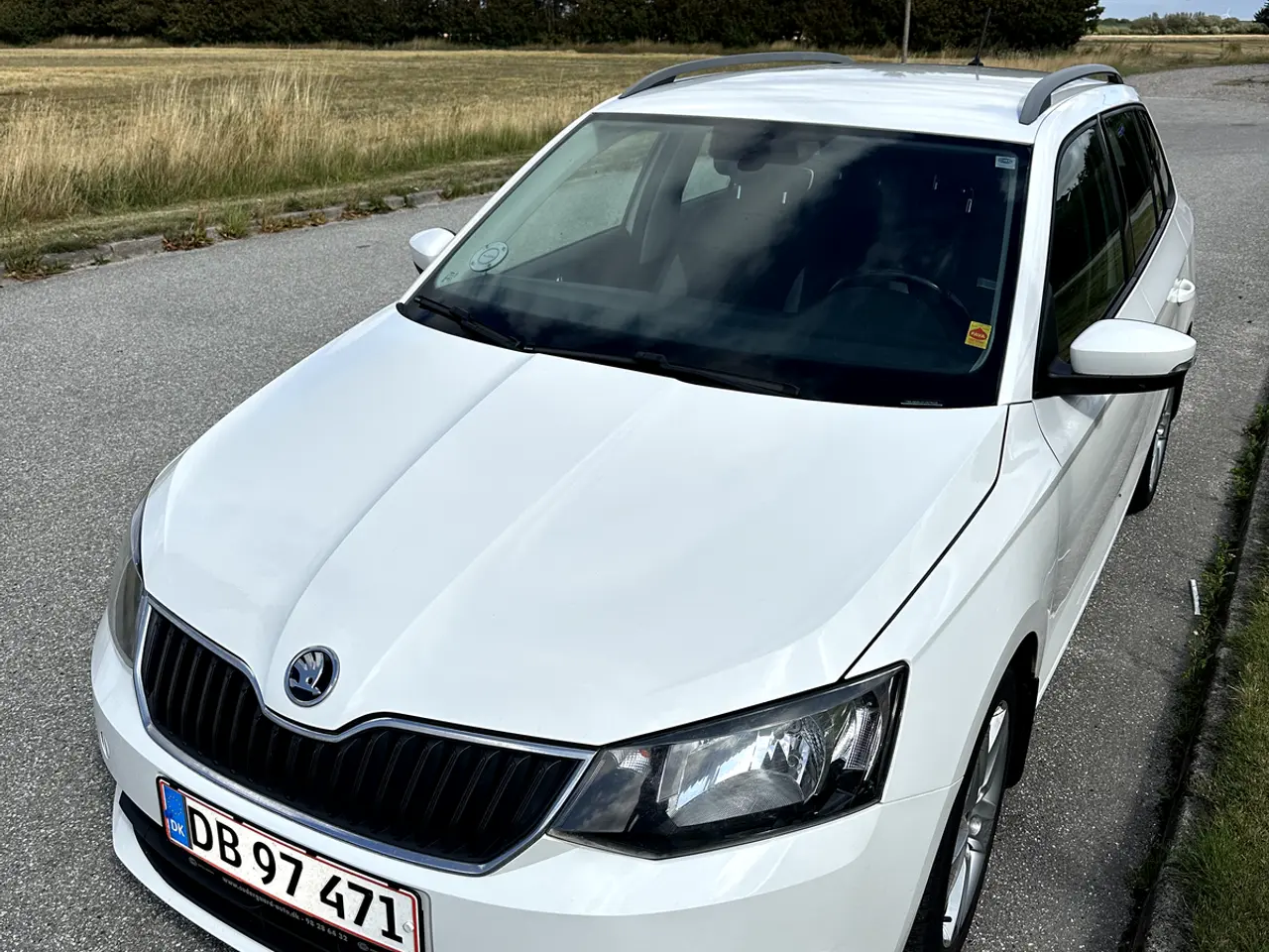 Billede 3 - Skoda Fabia 1,2 TSi 90 Ambition Combi