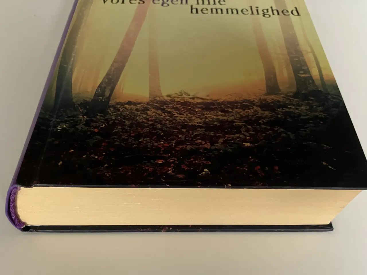 Billede 6 - Vores egen lille hemmelighed. Af Ninni Schulman