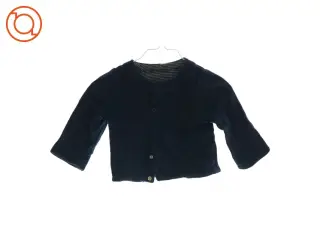 Cardigan (str. ca. 6-12 mdr.)