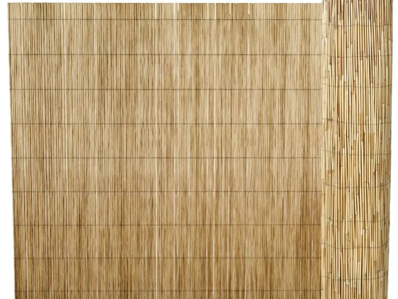 Billede 1 - Sivhegn til haven 500 x 100 cm - naturligt hegn på rulle