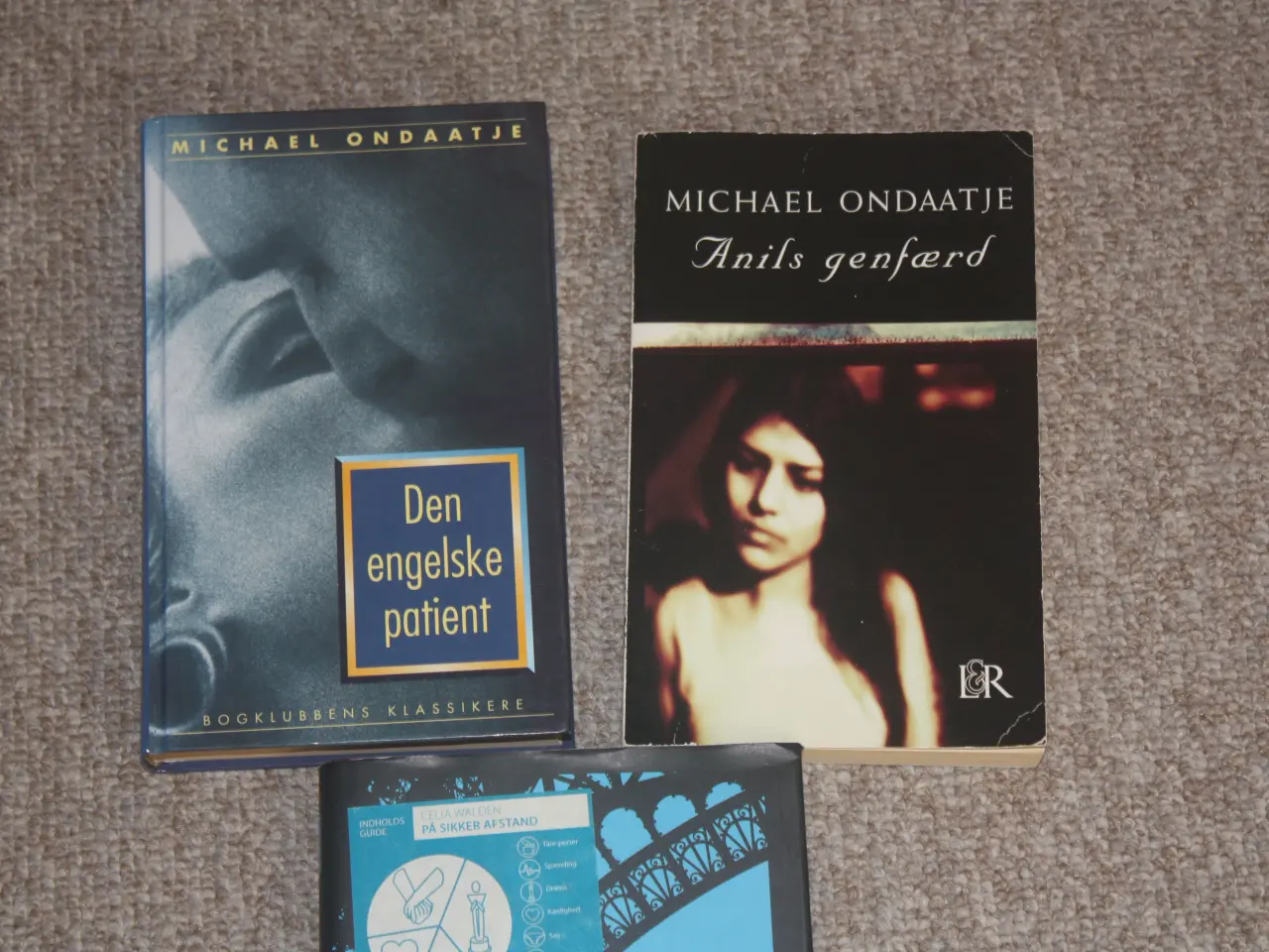 Billede 2 - Den engelske patient af Michael Ondaatje