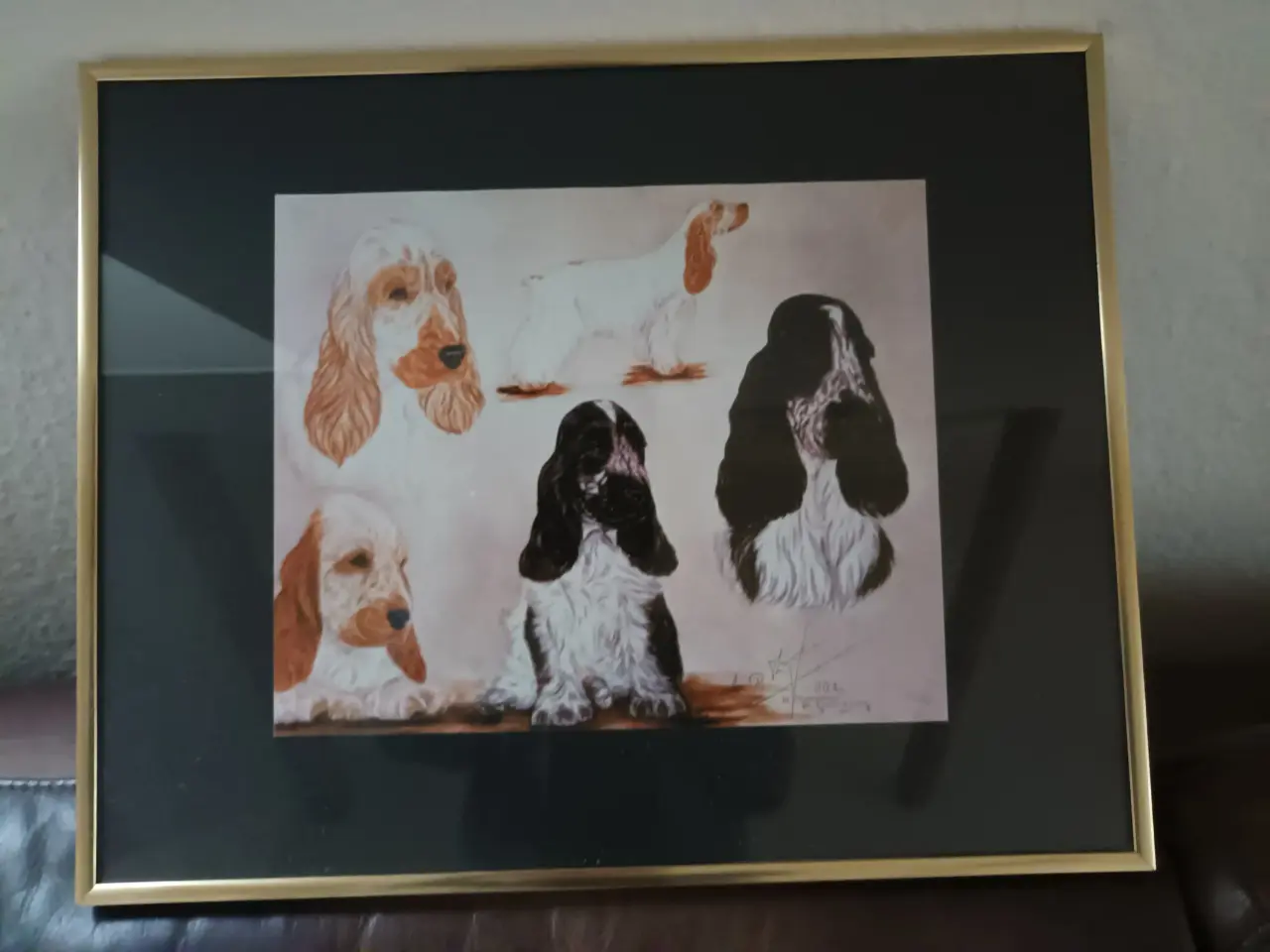 Billede 1 - Billede af Cocker spaniels.