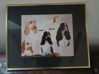 Billede af Cocker spaniels.