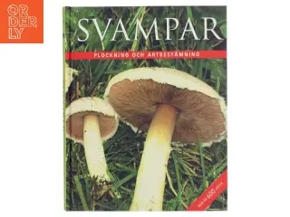 Svampar af Rebo Publishers (Bog)
