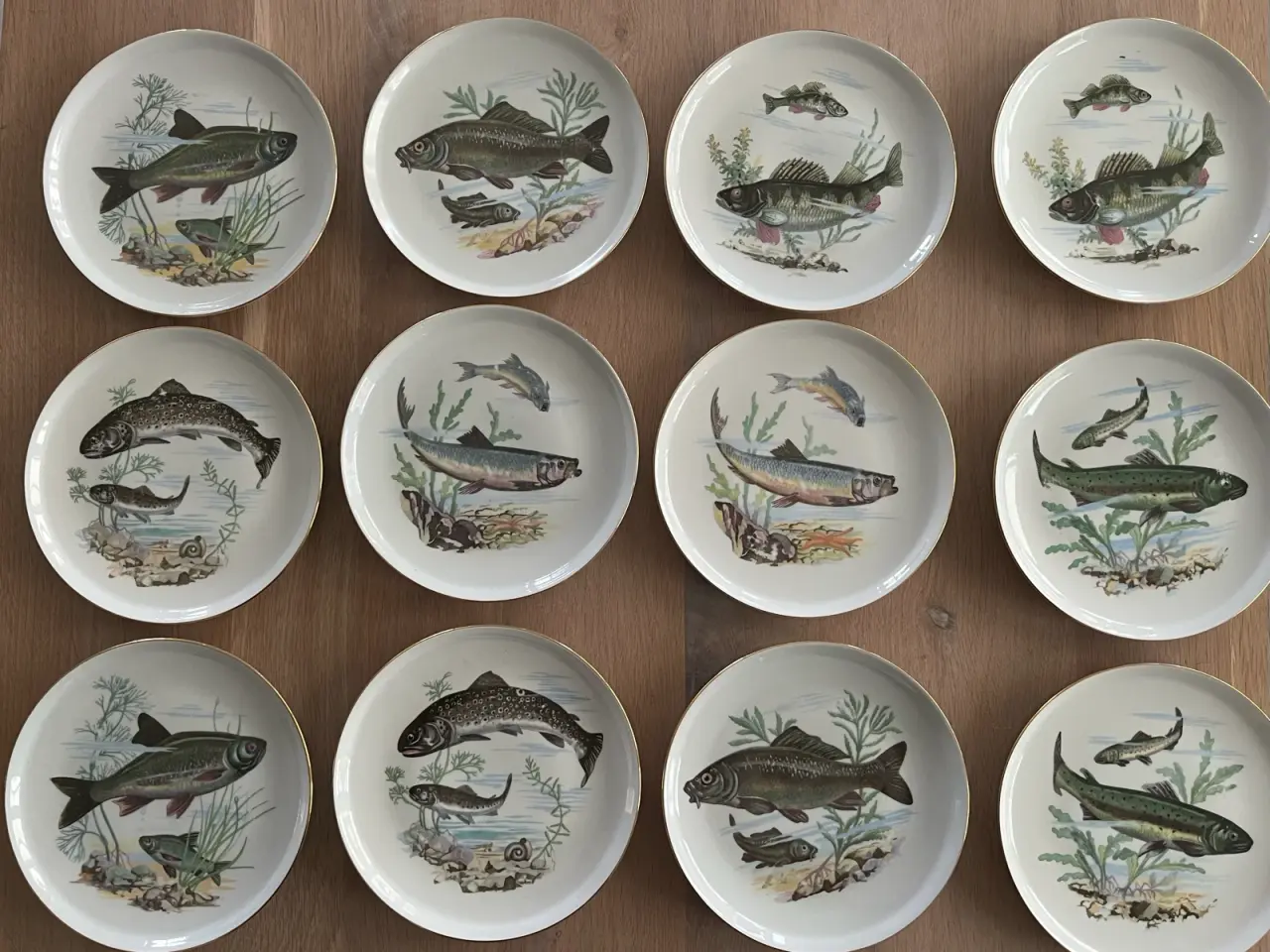 Billede 1 - Fisketallerkner 12 stk.