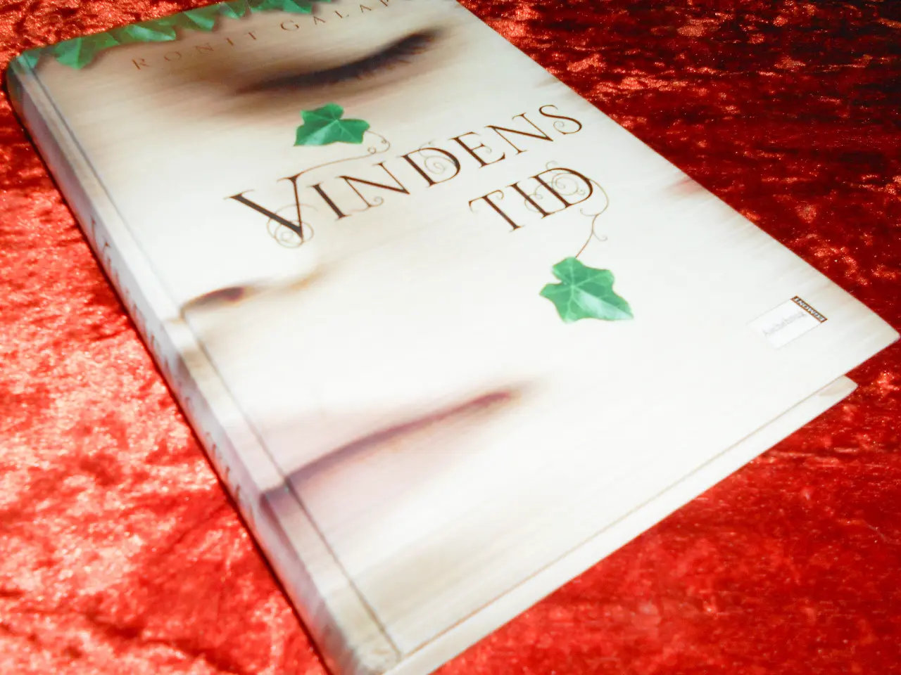 Billede 1 - Vindens tid, Ronit Galapo