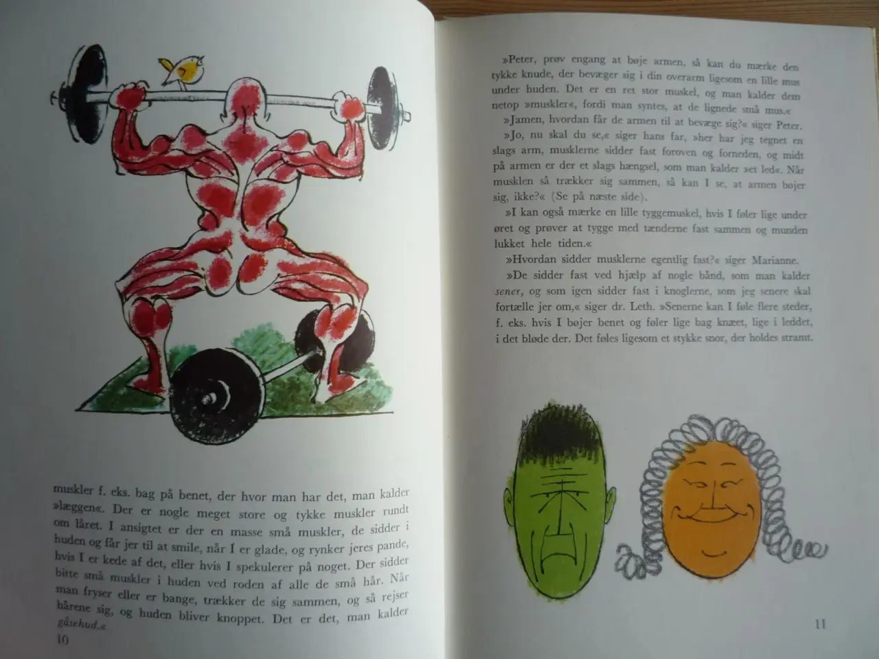 Billede 4 - Sten Hegeler
