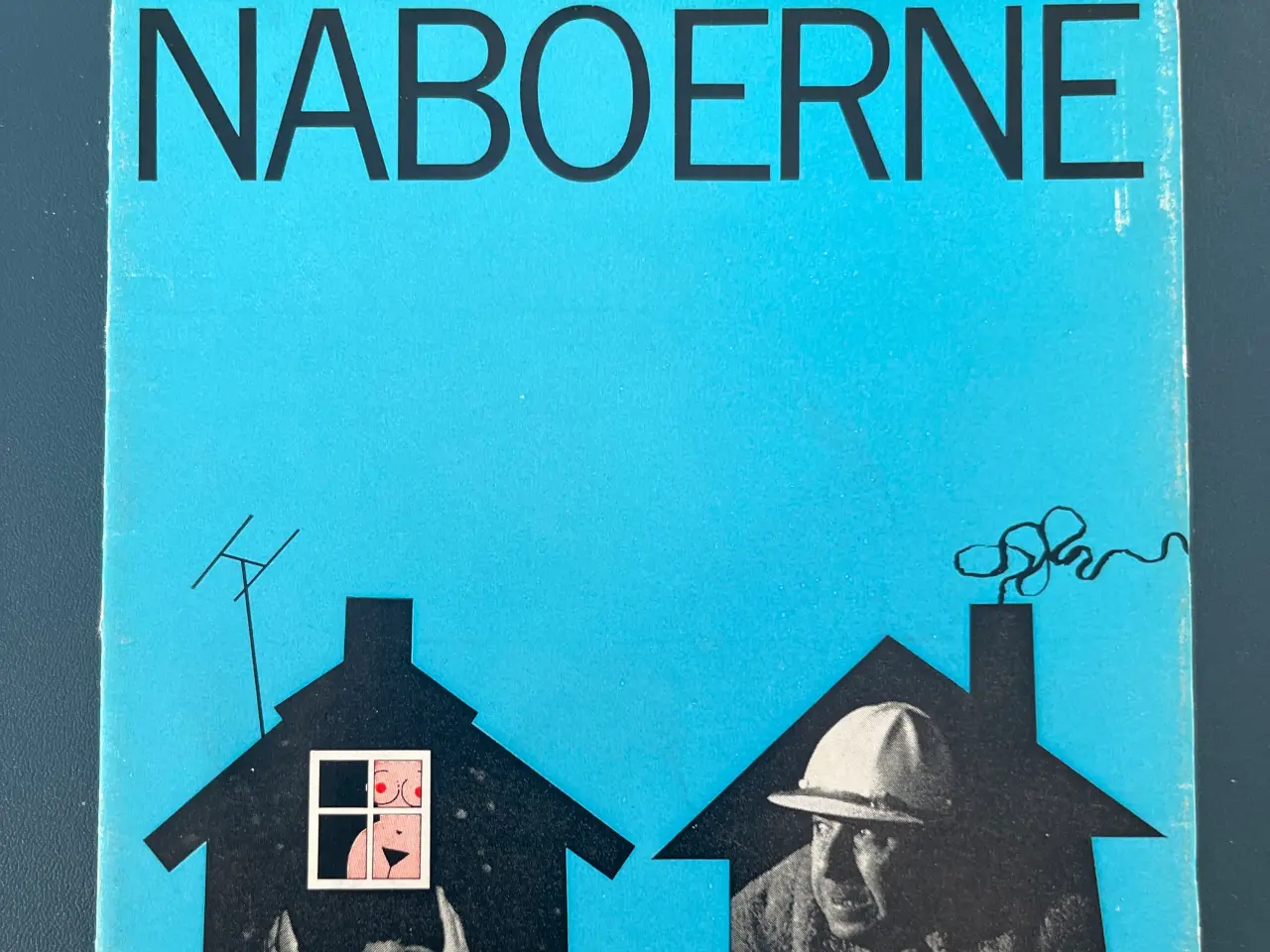Billede 1 - naboerne