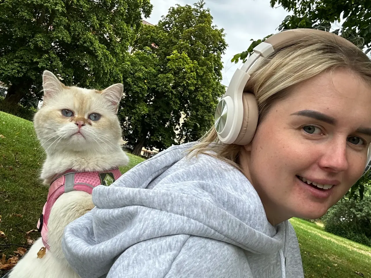 Billede 12 - Sød og kærlig kat søger nyt hjem