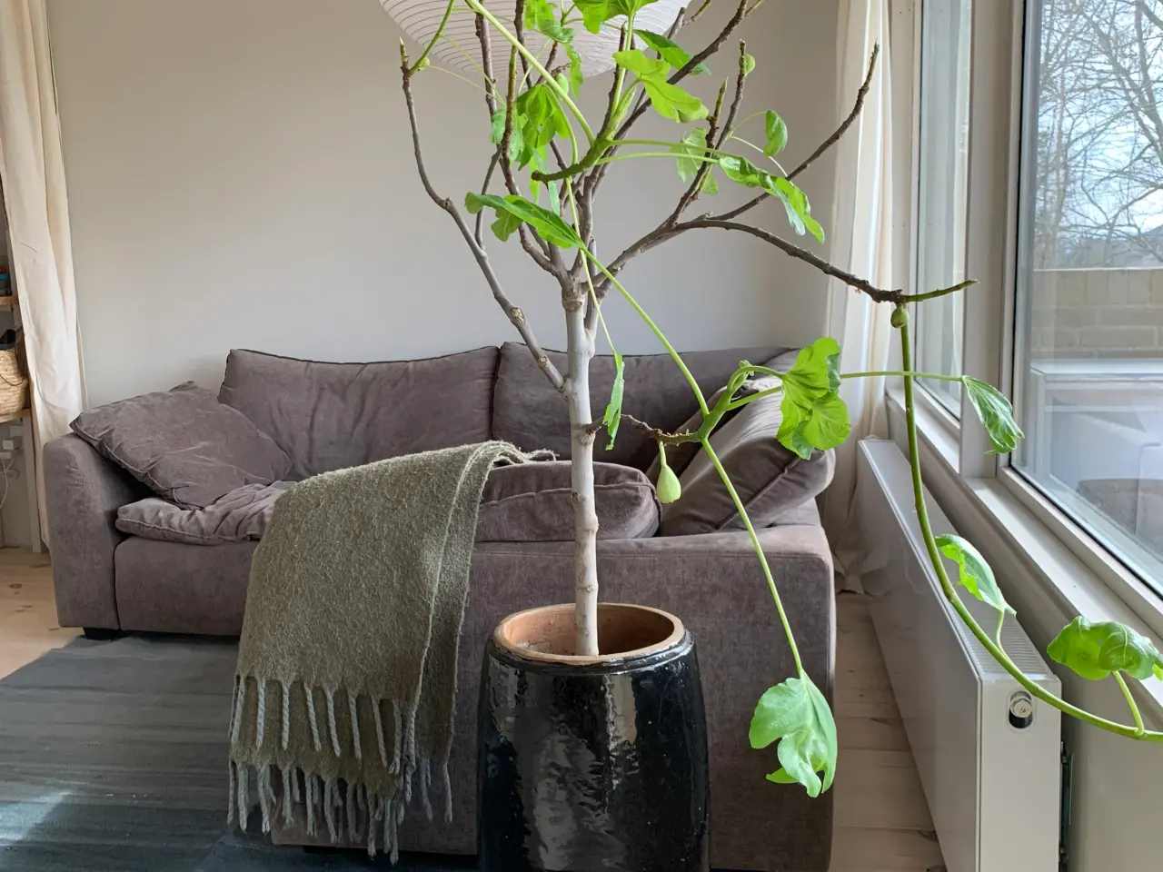 Billede 6 - Modul sofa fra Ilva