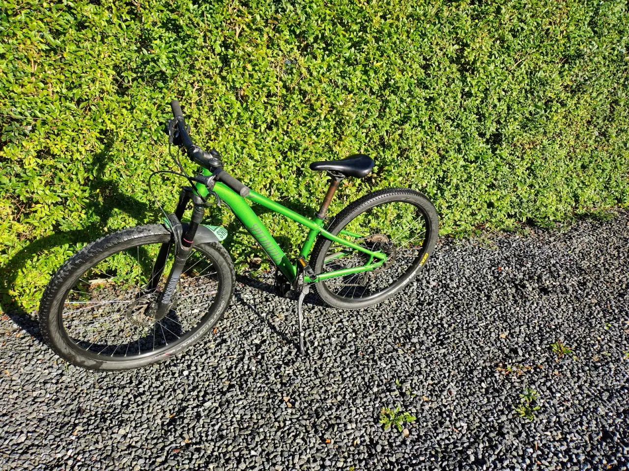 Billede 2 - Specialized pitch 27,5