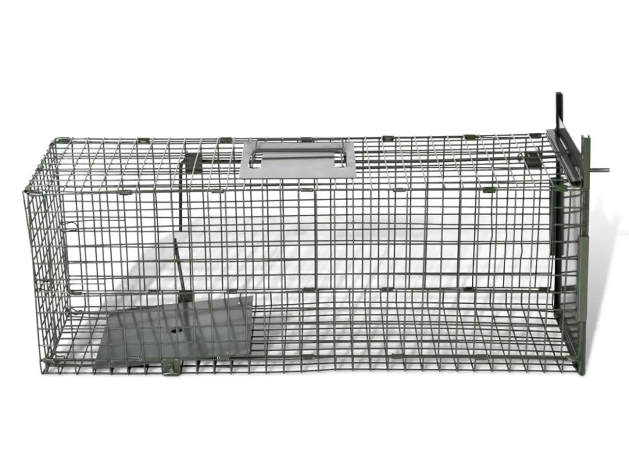 Billede 4 - Levende dyrefælde med 1 dør - stål, 80 × 25 × 25 cm