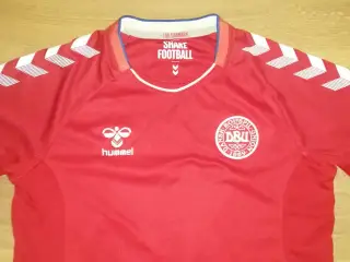 DANMARK HOME 2018/19, STR. 14 ÅR, I FLOT STAND