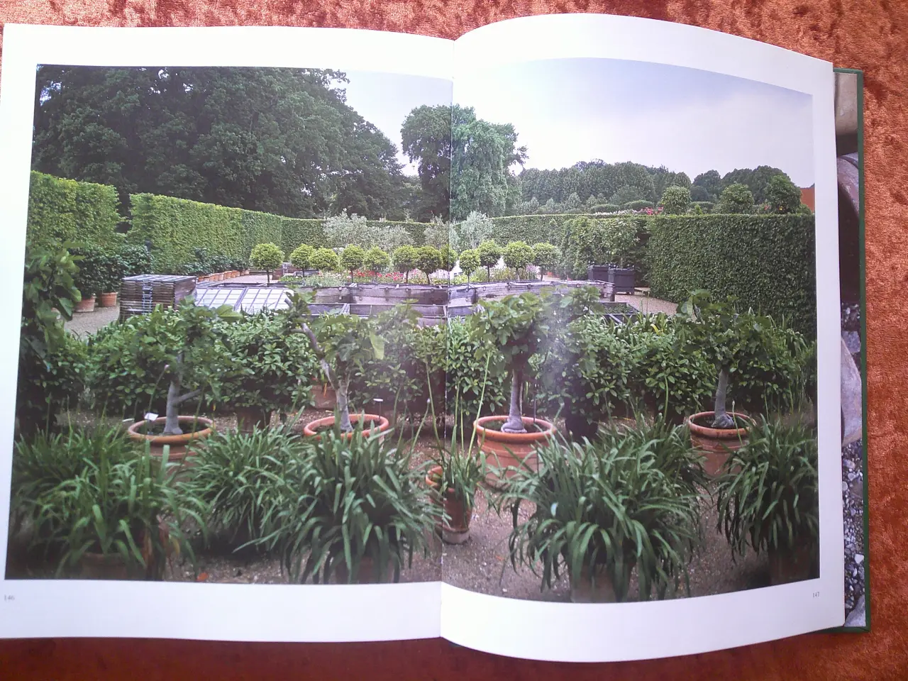 Billede 4 - Krukker året rundt i paradehuset på Gisselfeld, 