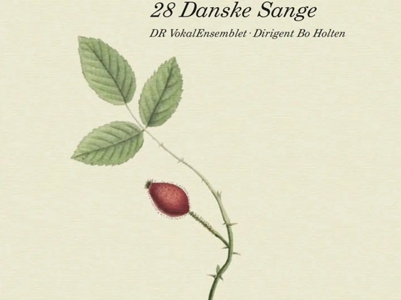 Billede 3 - DR Vokalensemblet, Bo… – Årstiderne (28… – CD