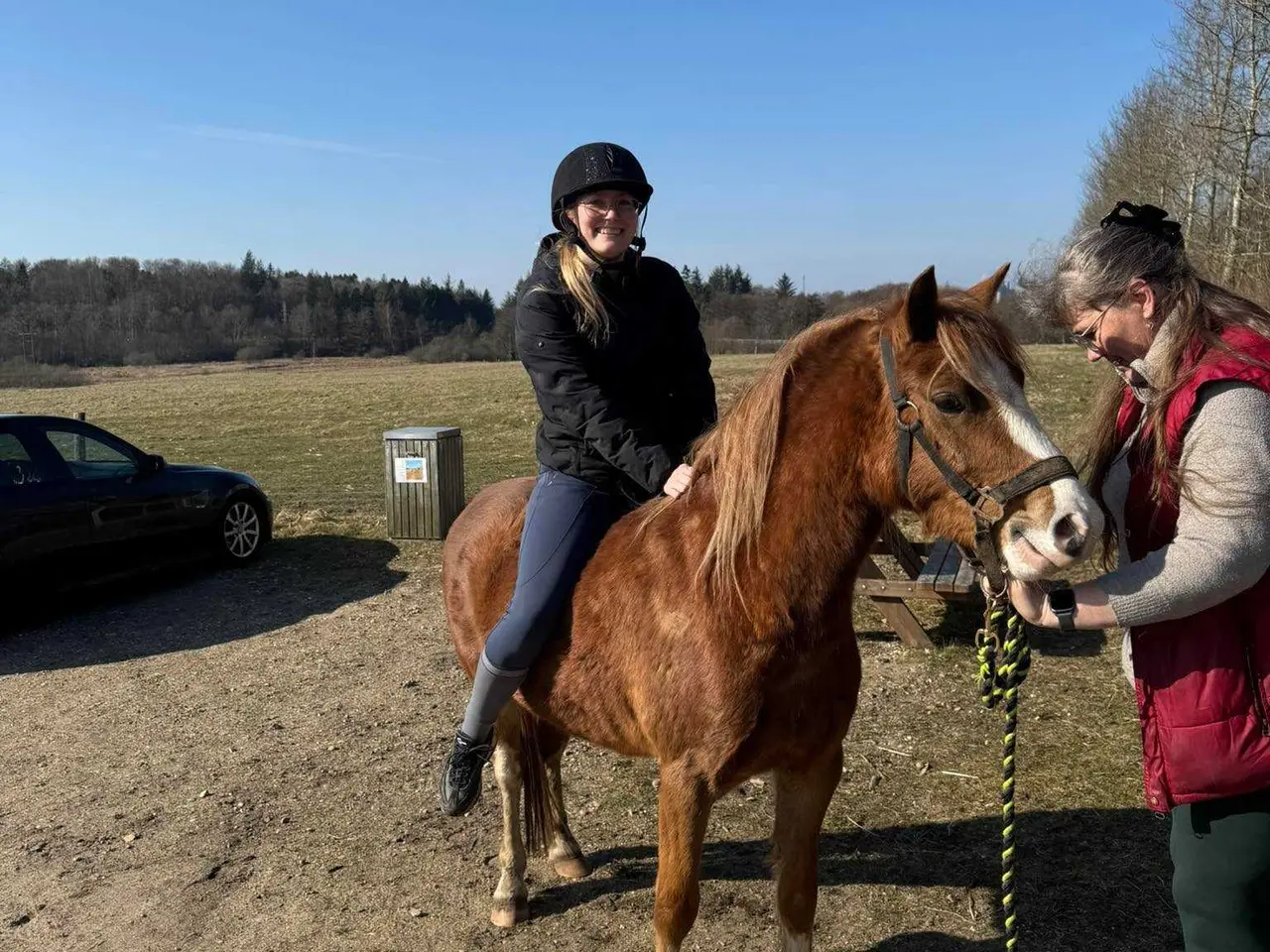 Billede 9 - Welsh pony vallak