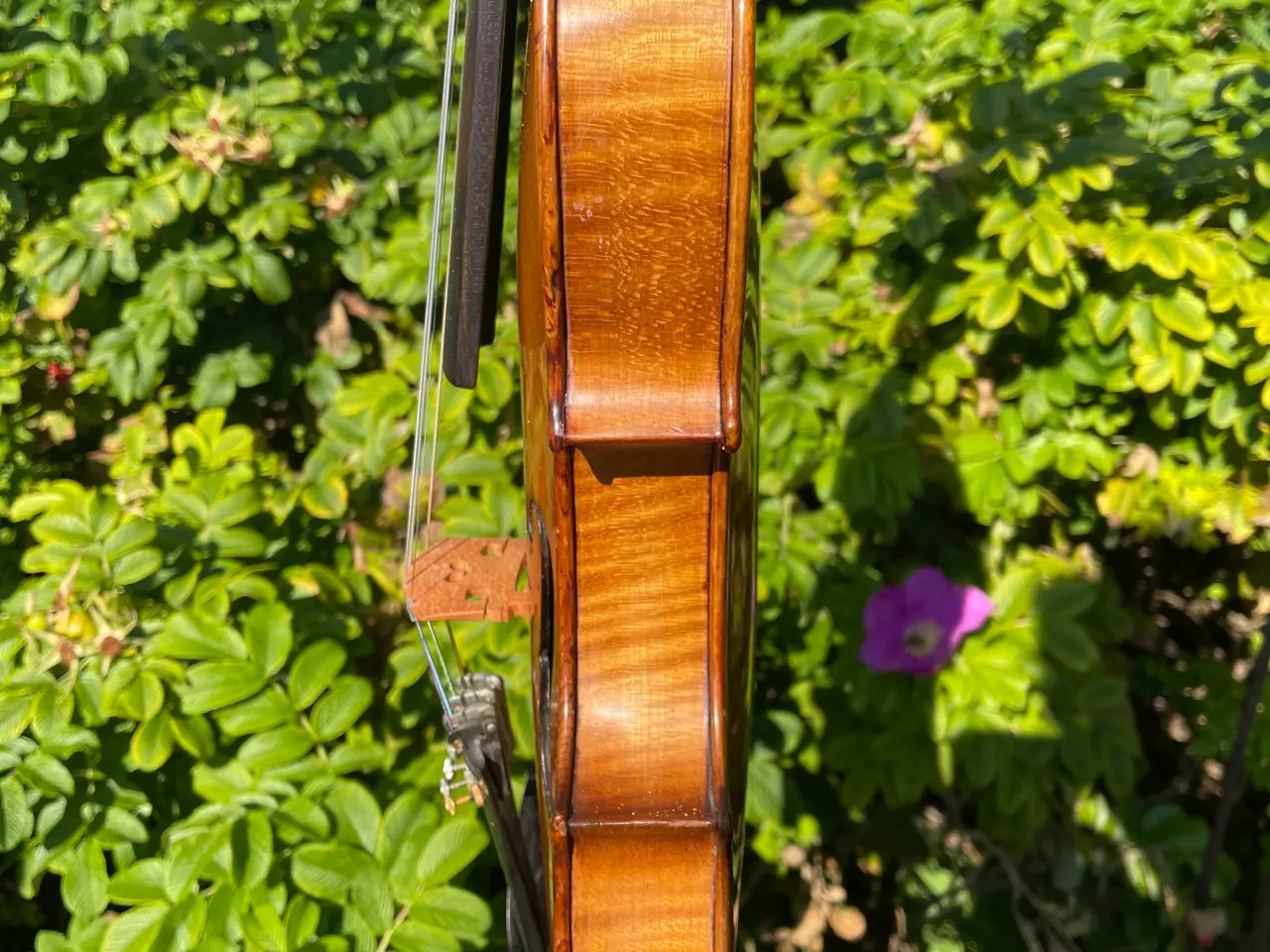 Billede 6 - Violin fra 1885