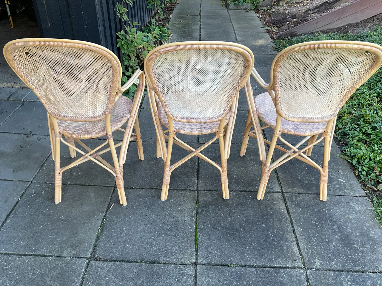 Billede 1 - Rossini rattan stole