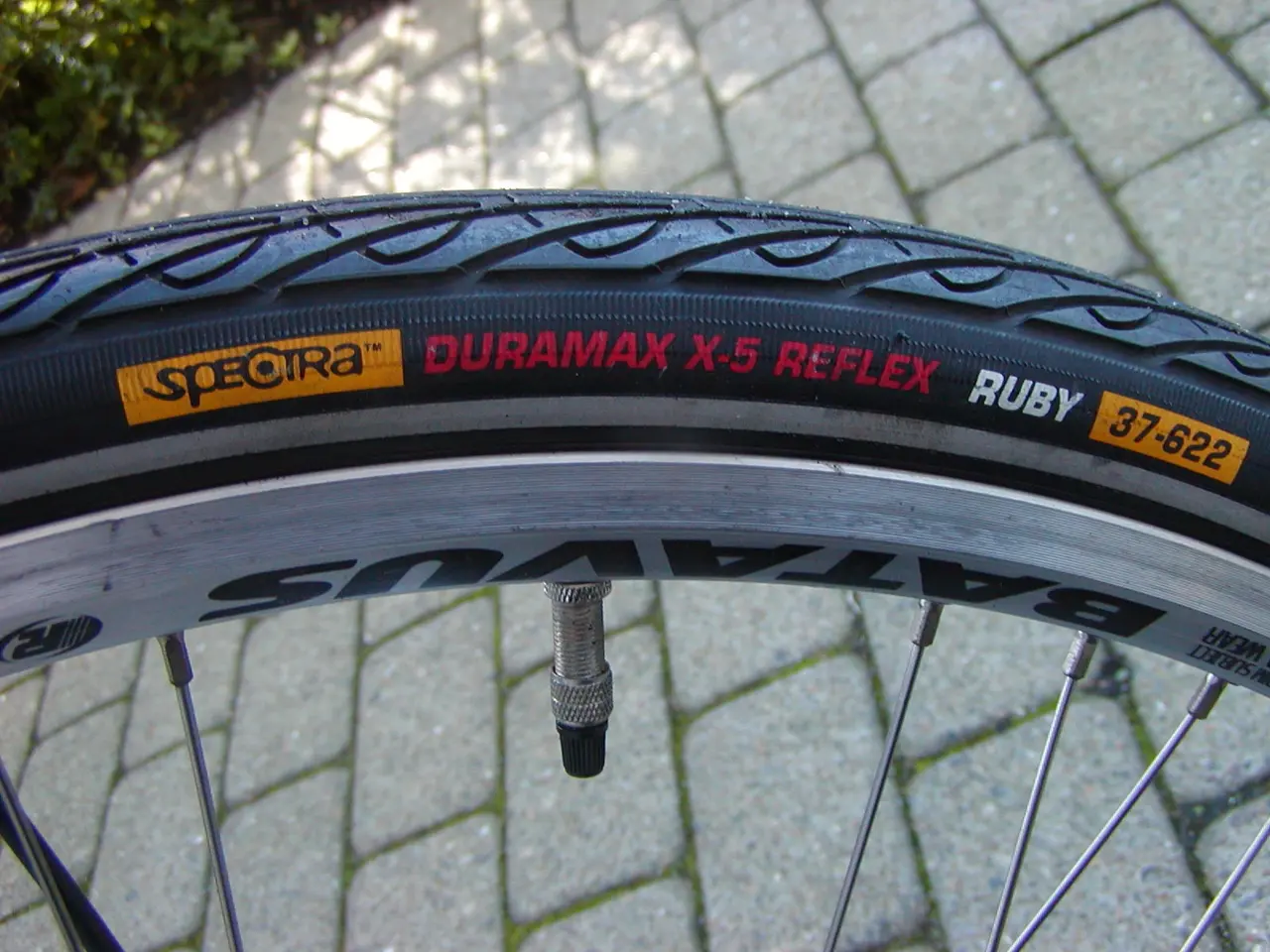 Billede 7 - Batavus. Donna. Stel str. 50 cm.