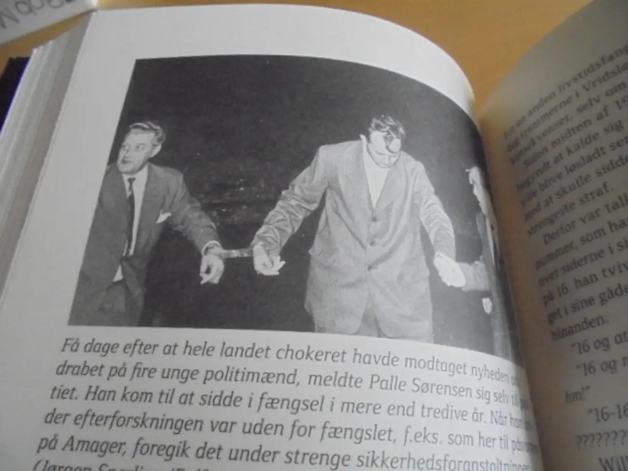 Billede 3 - Den danske underverden 1944-2004 