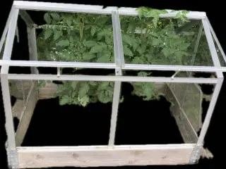 Minidrivhus i glas med vinduer