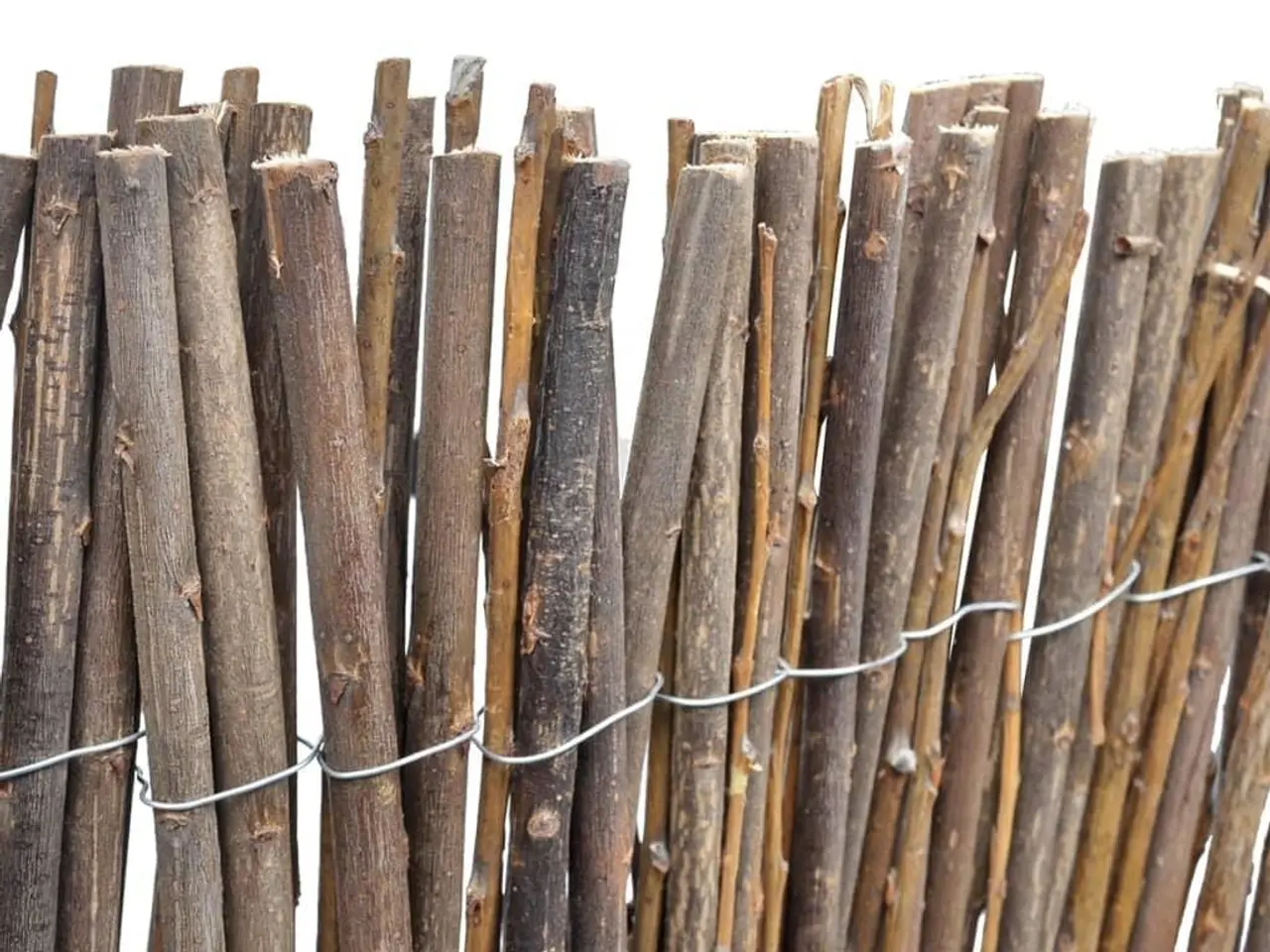 Billede 5 - Pilehegn på rulle 5 × 1 m - naturligt hegn til haven