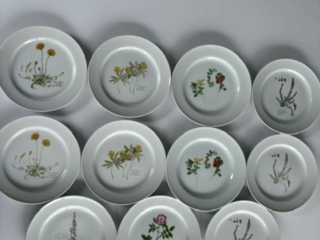 Billede 1 - 11 Flora Danica tallerkener med botaniske motiver