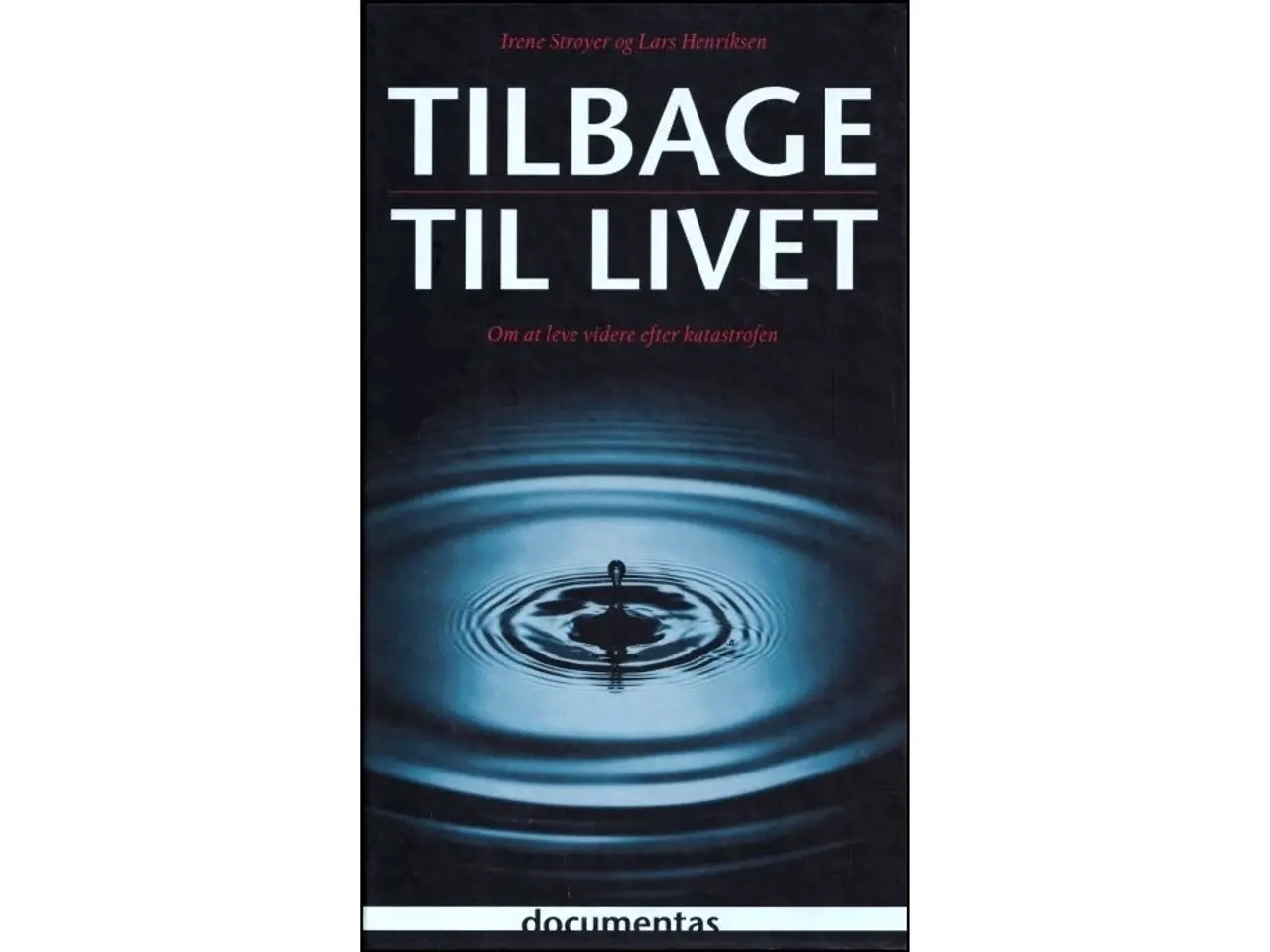 Billede 1 - Tilbage til livet - Leve videre efter katastrofen