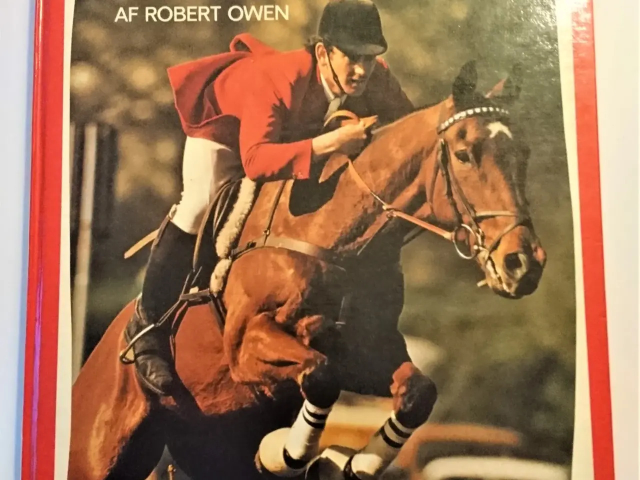 Billede 1 - Dygtig til ridning og springning af Robert Owen