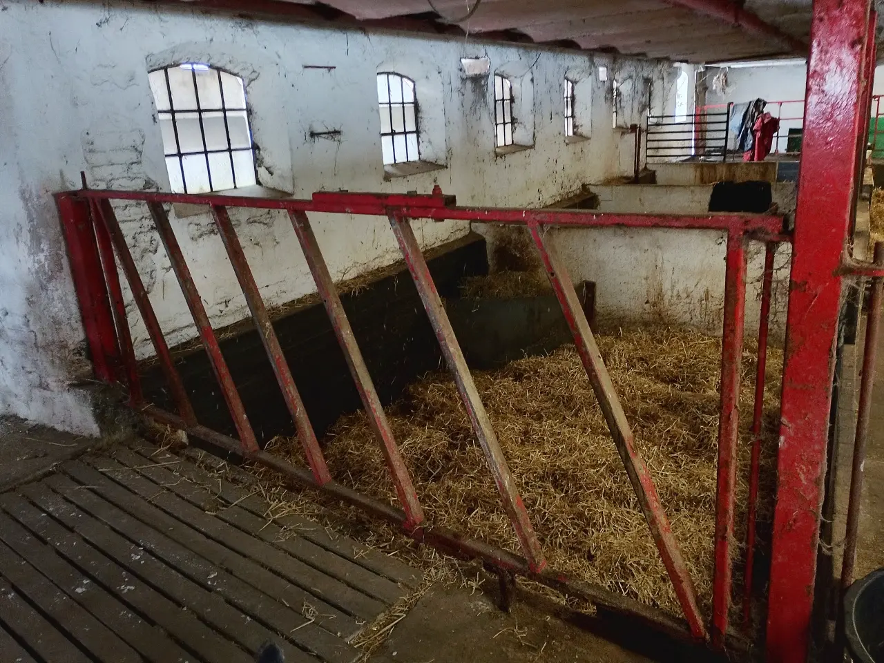 Billede 2 - Silo og kvæg gitre sælges