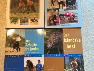 4 bøger om Islandske heste, pæne og velholdte.
