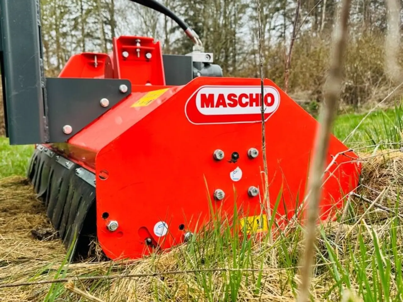 Billede 8 - Maschio Birba 115