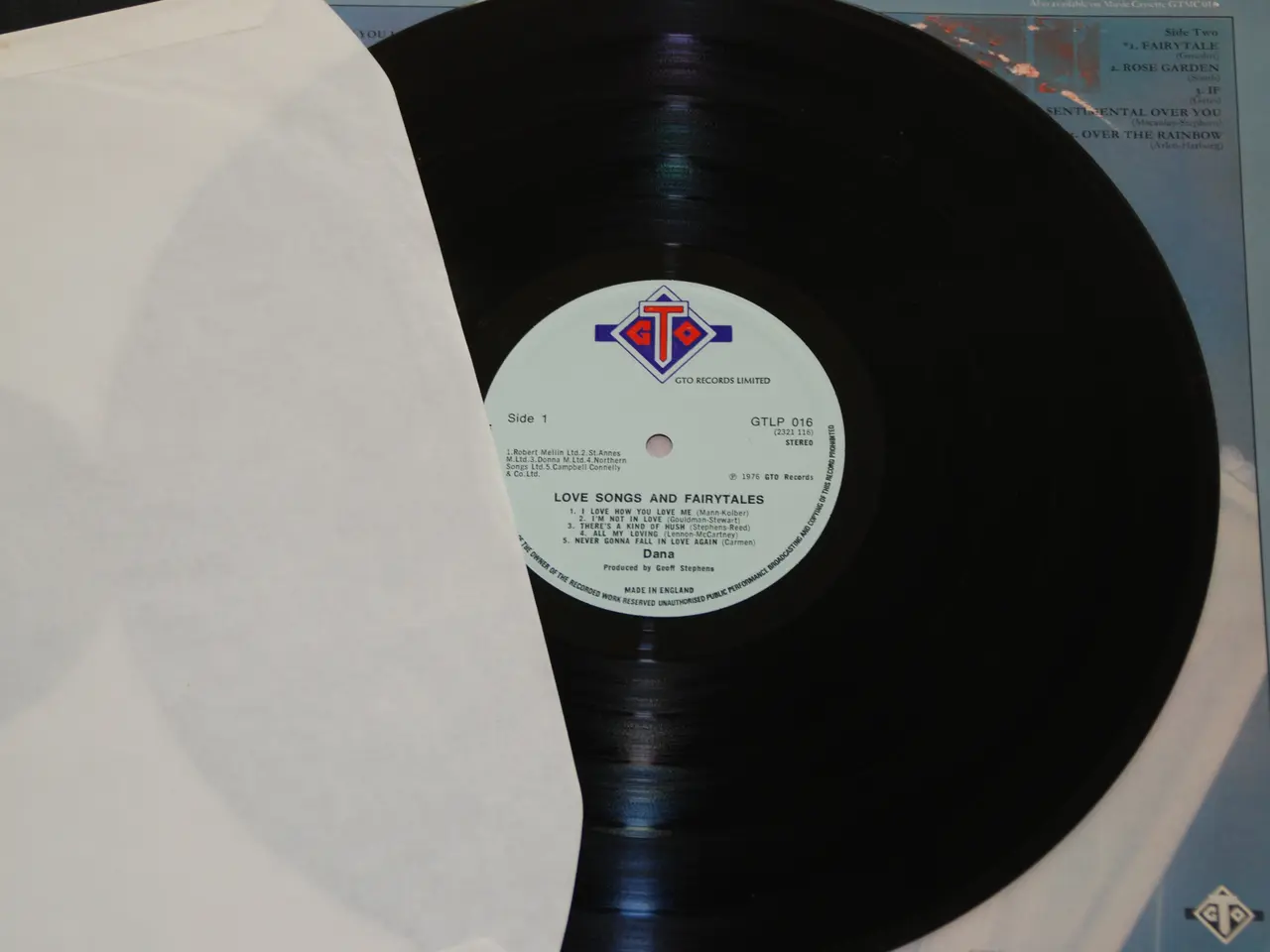 Billede 7 - 2 stk. vinylplader - Dana