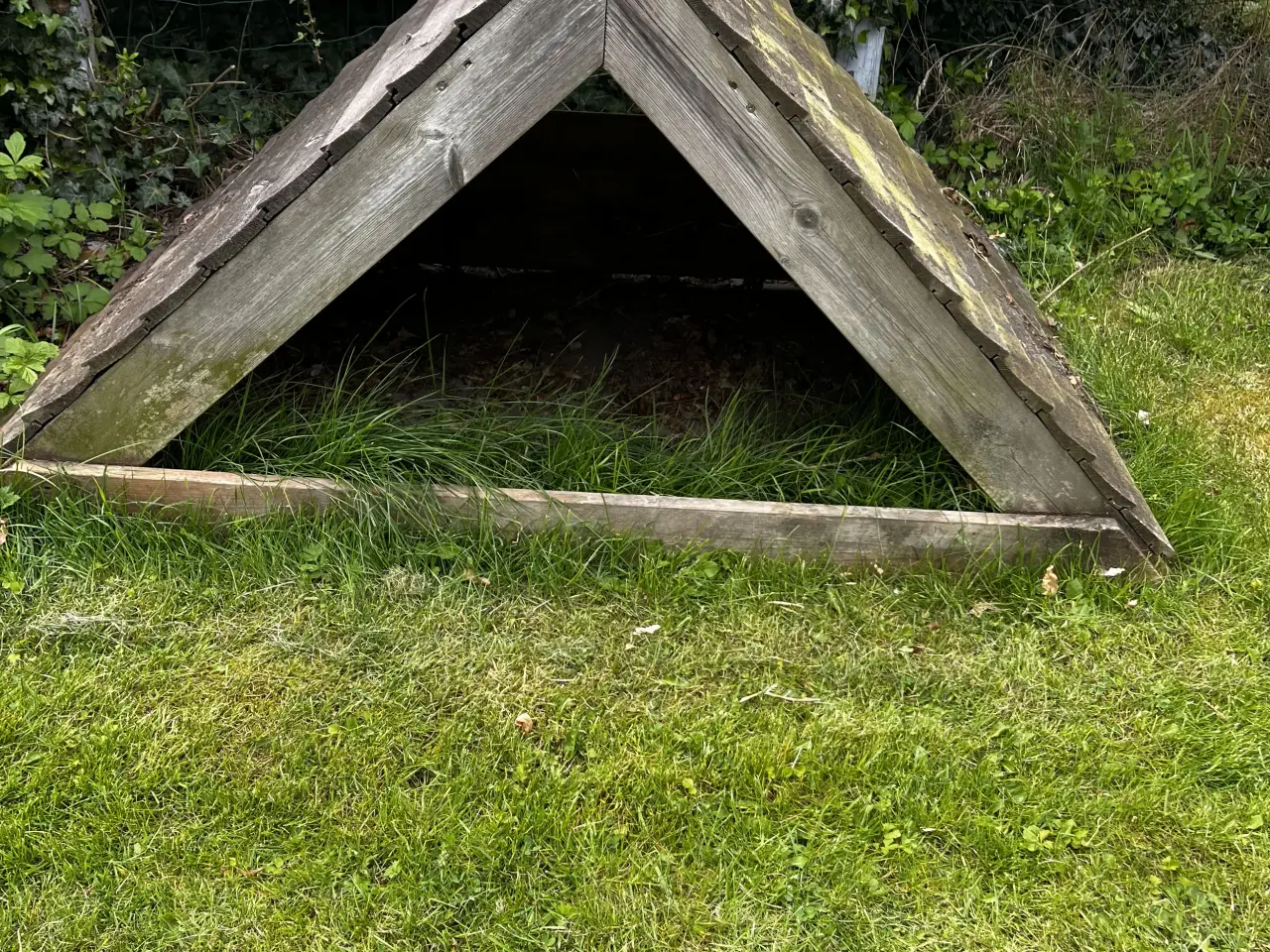 Billede 2 - Lille hundehus til haven