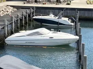 Stingray