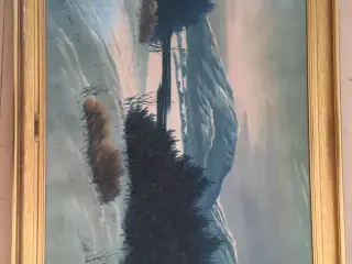 Oliemaleri – 50×58 cm