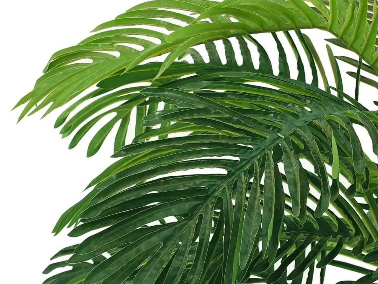 Billede 3 - Kunstig cycaspalme med potte - grøn, 130-140 cm