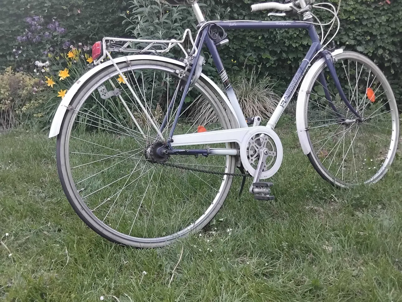 Billede 1 - Raleigh