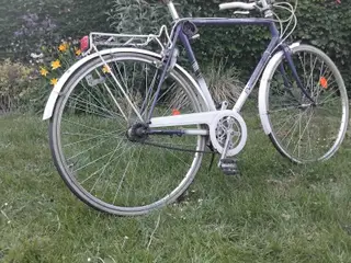 Raleigh