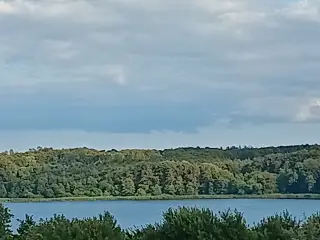 Hø sælges
