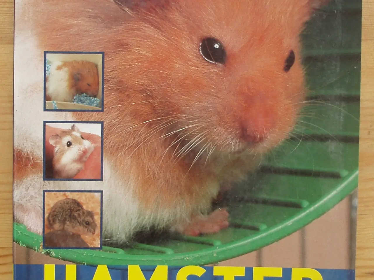 Billede 1 - Hamster af David Alderton