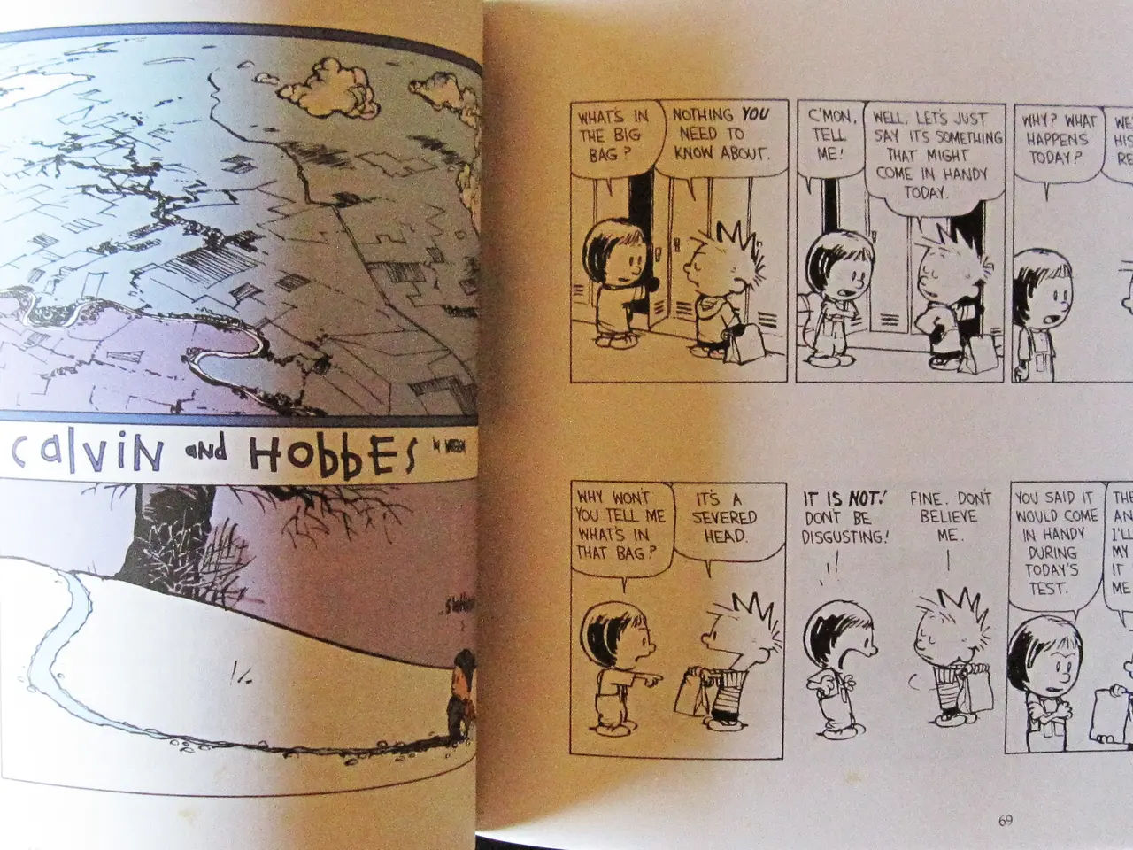 Billede 3 - Calvin & Hobbes : Homicidal Psycho Jungle Cat (Ste