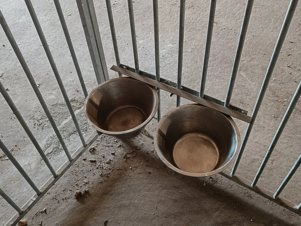Billede 2 - Hundegård 3 x 2 m