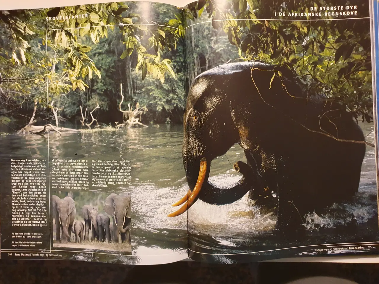 Billede 4 - Naturens Rekorder. Vores fantastiske verden