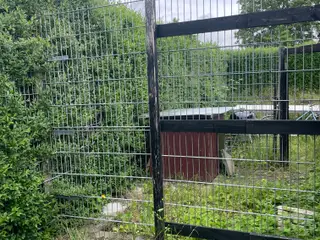 Hundegård